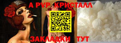 стаф Новозыбков