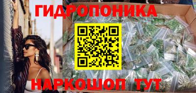 стаф Новозыбков